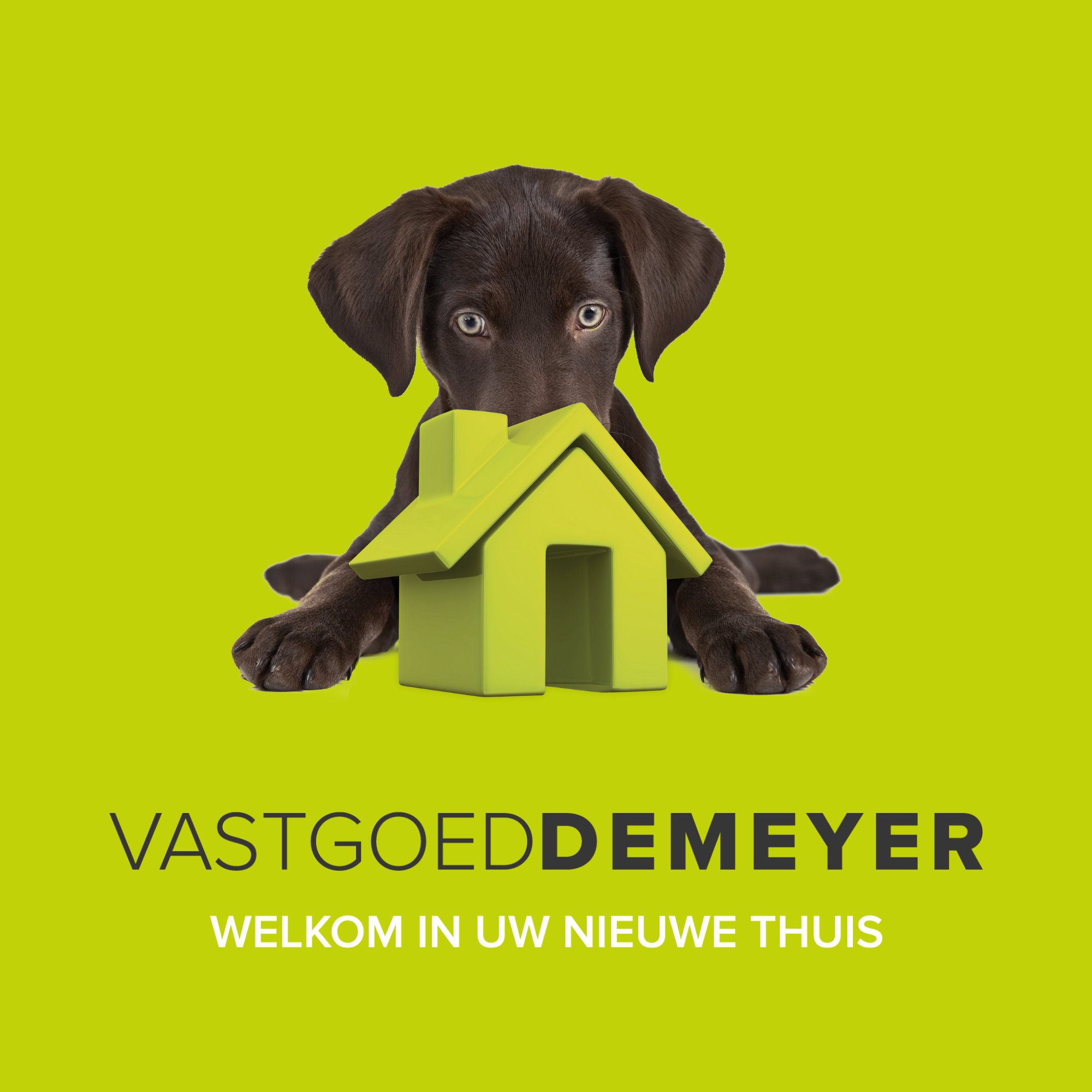 vastgoeddemeyerlogo_office:2624